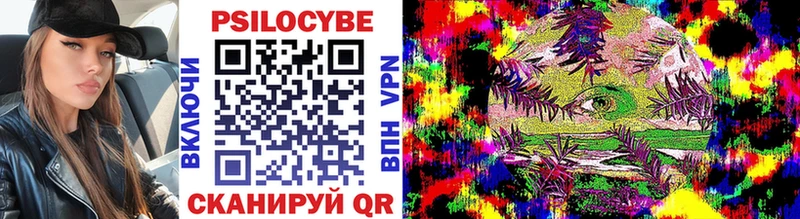 Псилоцибиновые грибы Psilocybe  Купить закладки  Ядрин 