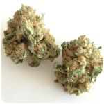 Шишки "White Widow"  (Белая вдова)  Гидропоника -  Бошка VHQ в Ядрине